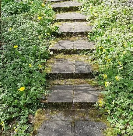 Het Bosnestje *