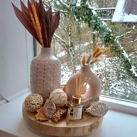 샬레 Het Bosnestje 더뷔