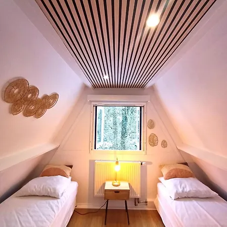 Het Bosnestje 더뷔