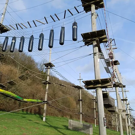 Het Bosnestje * 더뷔