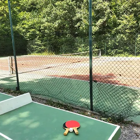 Het Bosnestje 더뷔