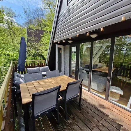 Het Bosnestje 더뷔